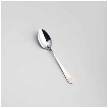 Набор столовых приборов SOLE 24 пр., сталь 18/0 AGNESS 1000-007-3