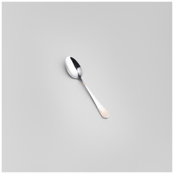 Набор столовых приборов SOLE 24 пр., сталь 18/0 AGNESS 1000-007-4