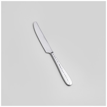 Набор столовых приборов REGINA 24 пр., сталь 18/10 AGNESS 1000-010-2