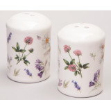 Набор для специй "FLOWER STORY" 2пр. 4,5*6,5 см (кор=60наб.) AGNESS 358-2168