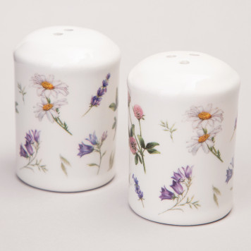 Набор для специй "FLOWER STORY" 2пр. 4,5*6,5 см (кор=60наб.) AGNESS 358-2168-1