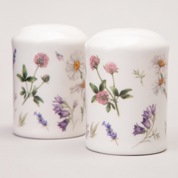 Набор для специй "FLOWER STORY" 2пр. 4,5*6,5 см (кор=60наб.) AGNESS 358-2168-3