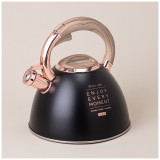 Чайник со свистком, серия тюдор, 3, 0 л термоаккумулирующее дно, индукция AGNESS 908-072