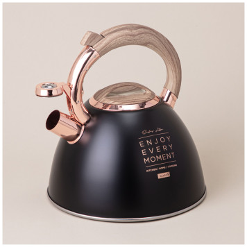 Чайник со свистком, серия тюдор, 3, 0 л термоаккумулирующее дно, индукция AGNESS 908-072-1