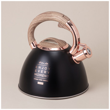 Чайник со свистком, серия тюдор, 3, 0 л термоаккумулирующее дно, индукция AGNESS 908-072-2