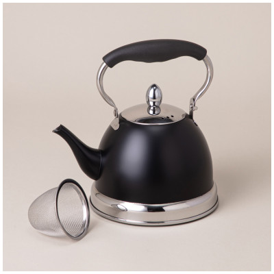 Чайник с фильтром, 1,0 л c индукцион. капсульным дном и складывающейся ручкой AGNESS 908-077-1