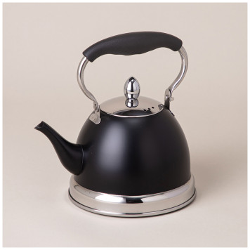 Чайник с фильтром, 1,0 л c индукцион. капсульным дном и складывающейся ручкой AGNESS 908-077