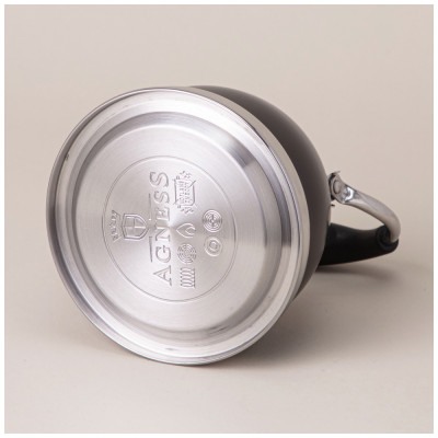 Чайник с фильтром, 1,0 л c индукцион. капсульным дном и складывающейся ручкой AGNESS 908-077-3