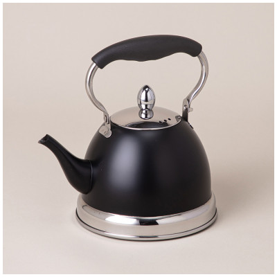 Чайник с фильтром, 1,0 л c индукцион. капсульным дном и складывающейся ручкой AGNESS 908-077