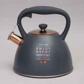 Чайник со свистком, 3, 0 л термоаккумулирующее дно, индукция AGNESS 914-156