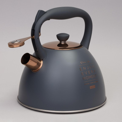 Чайник со свистком, 3, 0 л термоаккумулирующее дно, индукция AGNESS 914-156-1