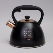 Чайник со свистком, 3, 0 л термоаккумулирующее дно, индукция AGNESS 914-157