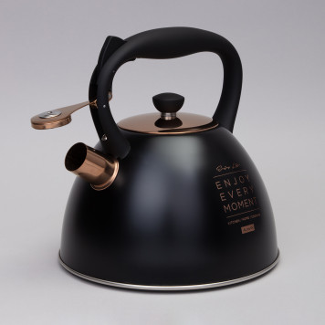 Чайник со свистком, 3, 0 л термоаккумулирующее дно, индукция AGNESS 914-157-1