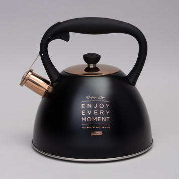 Чайник со свистком, 3, 0 л термоаккумулирующее дно, индукция AGNESS 914-157