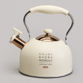 Чайник со свистком 2,5 л,нжс индукция AGNESS 914-160