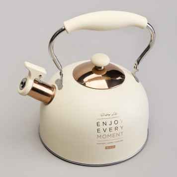 Чайник со свистком 2,5 л,нжс индукция AGNESS 914-160-2