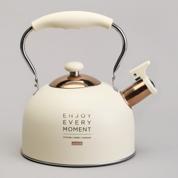 Чайник со свистком 2,5 л,нжс индукция AGNESS 914-160-3