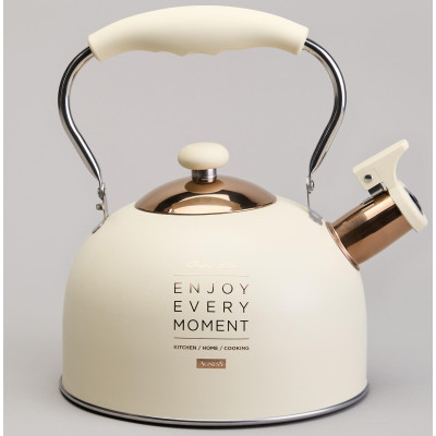 Чайник со свистком 2,5 л,нжс индукция AGNESS 914-160-3