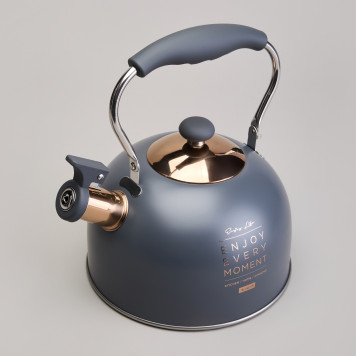 Чайник со свистком 2,5 л,нжс индукция AGNESS 914-161-1