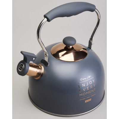 Чайник со свистком 2,5 л,нжс индукция AGNESS 914-161-1