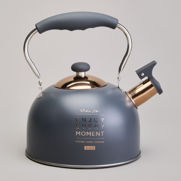 Чайник со свистком 2,5 л,нжс индукция AGNESS 914-161-2