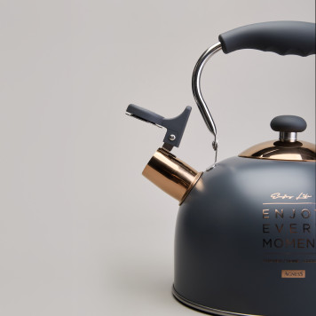 Чайник со свистком 2,5 л,нжс индукция AGNESS 914-161-3