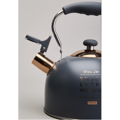 Чайник со свистком 2,5 л,нжс индукция AGNESS 914-161-3