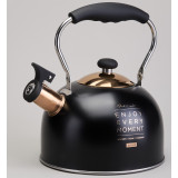 Чайник со свистком 2,5 л,нжс индукция AGNESS 914-162