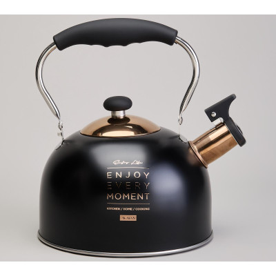 Чайник со свистком 2,5 л,нжс индукция AGNESS 914-162-1