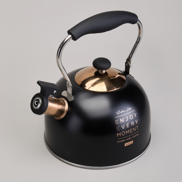 Чайник со свистком 2,5 л,нжс индукция AGNESS 914-162-2