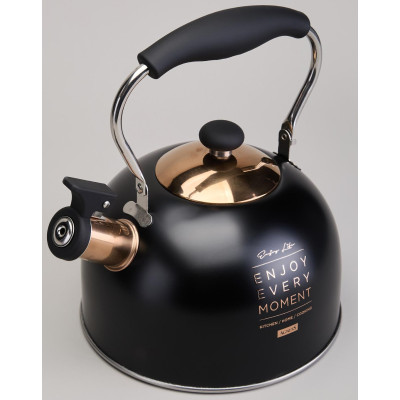 Чайник со свистком 2,5 л,нжс индукция AGNESS 914-162-2