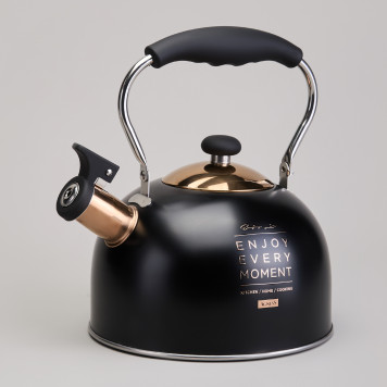 Чайник со свистком 2,5 л,нжс индукция AGNESS 914-162