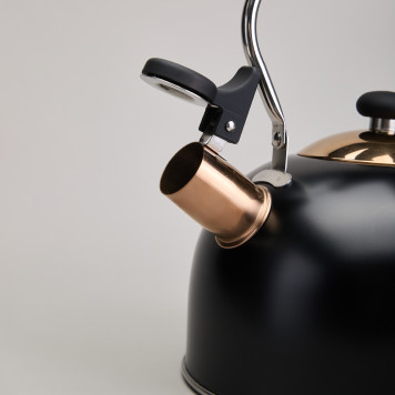 Чайник со свистком 2,5 л,нжс индукция AGNESS 914-162-4