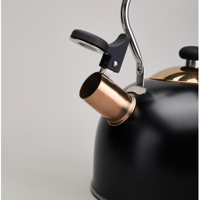 Чайник со свистком 2,5 л,нжс индукция AGNESS 914-162-4