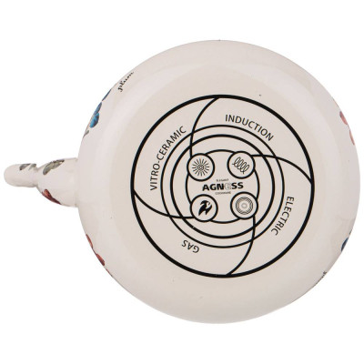 Чайник эмалированный серия "ФРУКТЫ" 2,5 л AGNESS 934-426-3