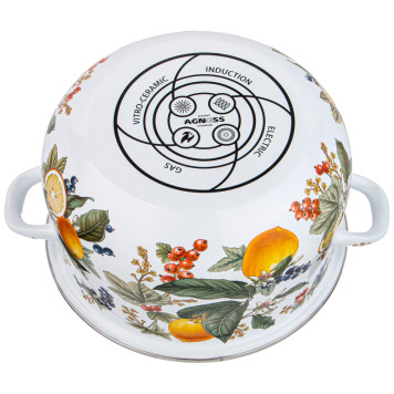 Кастрюля эмалированная с эмал.крышкой серия "ФРУКТОВАЯ КОРЗИНА", 5.0 л, 24*14 см AGNESS 934-584-2