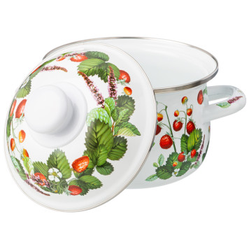 Набор кастрюль эмалированных серия "ФРУКТОВАЯ КОРЗИНА", 4пр. 1,5л и 2,8л, 16х10см, 20х12см AGNESS 934-701-1