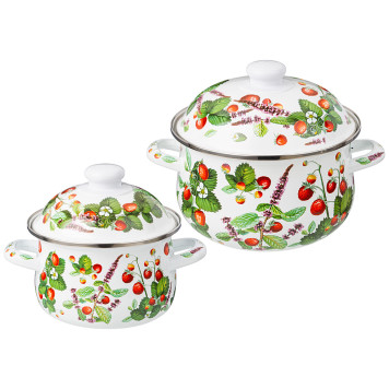 Набор кастрюль эмалированных серия "ФРУКТОВАЯ КОРЗИНА", 4пр. 1,5л и 2,8л, 16х10см, 20х12см AGNESS 934-701