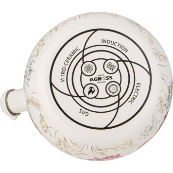 Чайник эмалированный со свистком серия "СНЕГИРИ", 2,2л, индукционное дно AGNESS 934-735-4