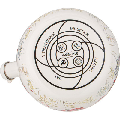 Чайник эмалированный со свистком серия "СНЕГИРИ", 2,2л, индукционное дно AGNESS 934-735-4