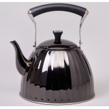 Чайник 3,0 л со складывающейся ручкой, сталь 18/10, индукционное капсульное дно AGNESS 937-911