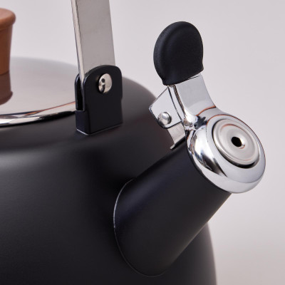 Чайник 3,0 л со свистком и складывающейся ручкой, индукционное капсульное дно AGNESS 937-912-2