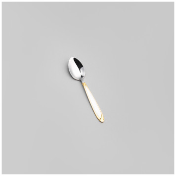 Набор столовых приборов на 6 персон CASTA 24 пр AGNESS 942-558-4