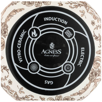 Кастрюля эмалированная с крышкой, серия ROYAL GARDEN 4,8л, диа.22см подходит для индукцион.пл AGNESS 950-084-1