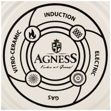 Чайник эмалированный , серия яблоневый сад, 1,0л подходит для индукцион.плит AGNESS 950-533-1