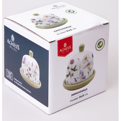 358-2187 Лимонница 'FLOWER STORY' 9х9см-1