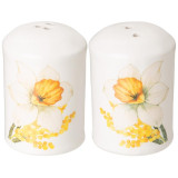 358-2194 Набор для специй Agness 'Sunday' 2предм 4.5х6.5см