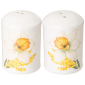 358-2194 Набор для специй Agness 'Sunday' 2предм 4.5х6.5см