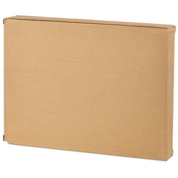 Блюдо сервировочное коллекция "PINE CONES", 26,3*19,8*2,4 см BRONCO 230-514-2