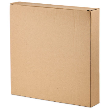 Набор тарелок обеденных коллекция "PINE CONES", 2 шт. / 25*25*2,3 см BRONCO 230-516-4